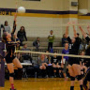 Meet your Posher, Chellis